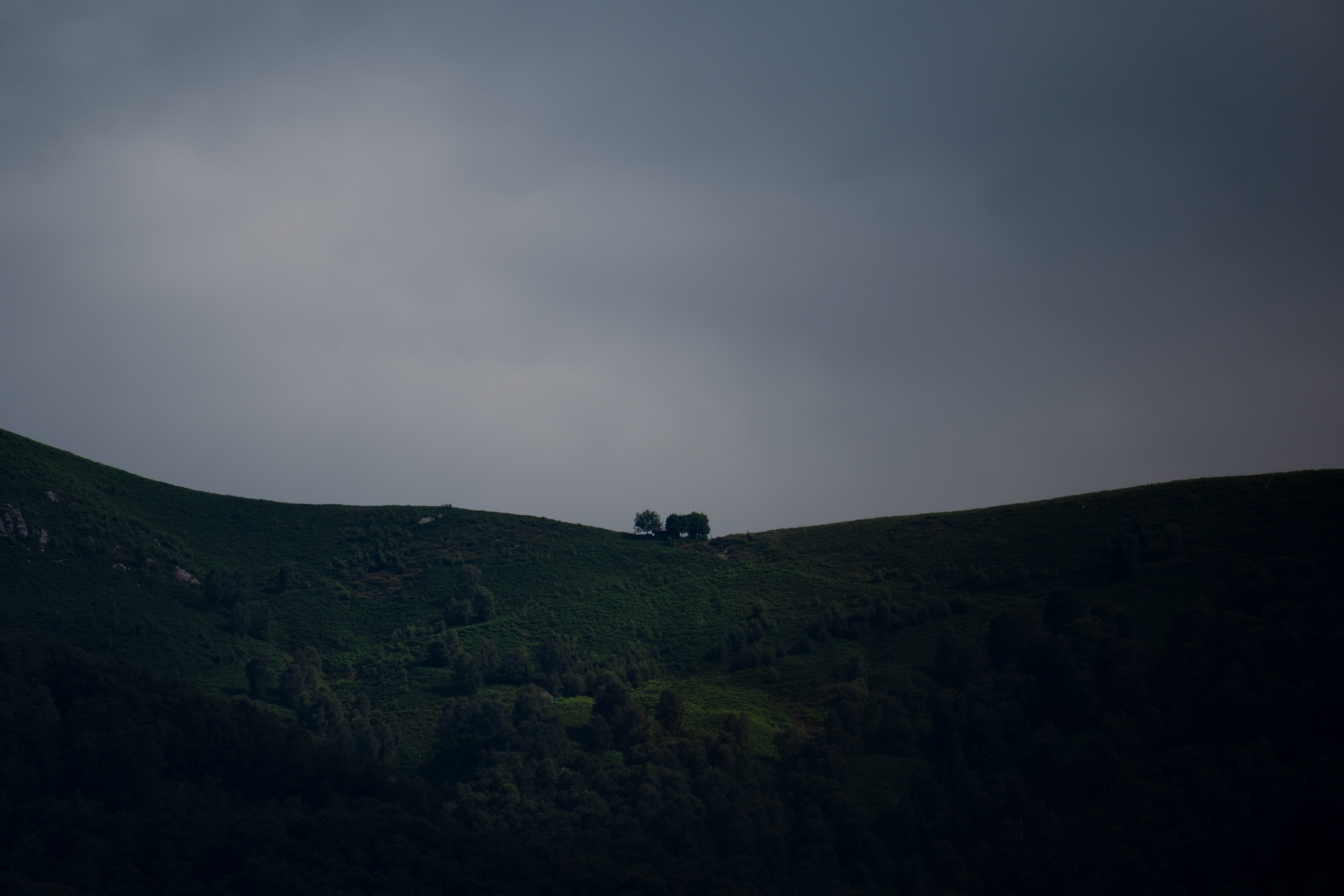 Where did i put the intro?